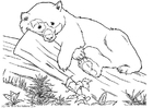 Dibujo para colorear oso