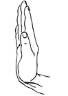 Dibujo para colorear parar