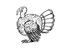 Dibujo para colorear pavo