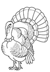 Dibujo para colorear pavo