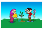 plantar un árbol