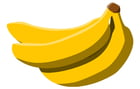 Imagenes plátanos