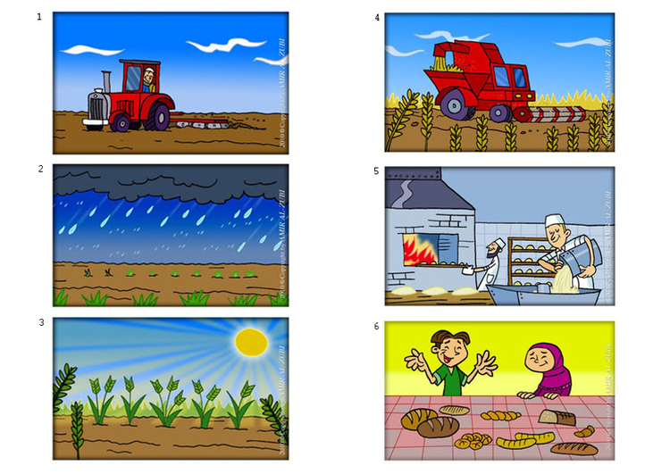 Imagen proceso de elaboración del pan