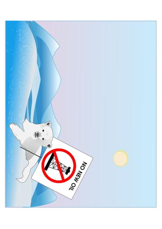 protecciÃ³n de los osos polares