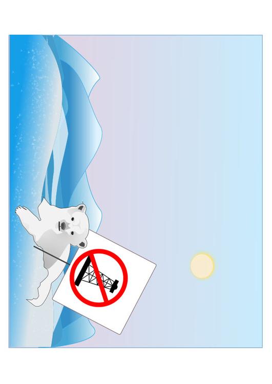 protecciÃ³n de los osos polares