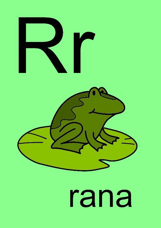 r