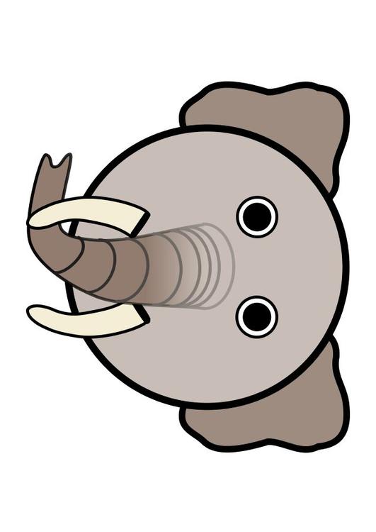 r1 - elefante