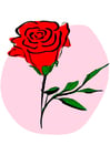 Imagen rosa roja