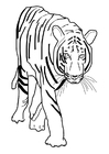 Dibujo para colorear tigre
