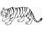 Dibujo para colorear tigre