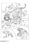Dibujo para colorear tigre