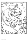Dibujo para colorear tigre