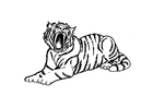Dibujo para colorear tigre