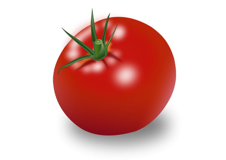 Imagen tomate