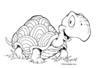 Dibujo para colorear tortuga