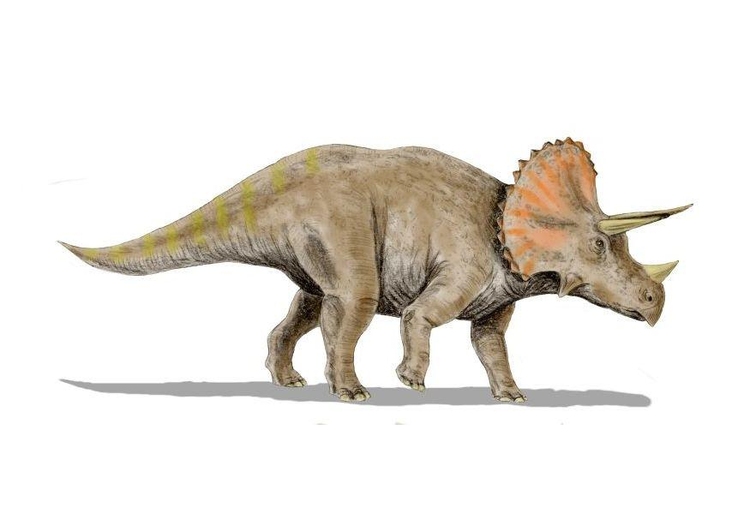 Imagen Triceratops