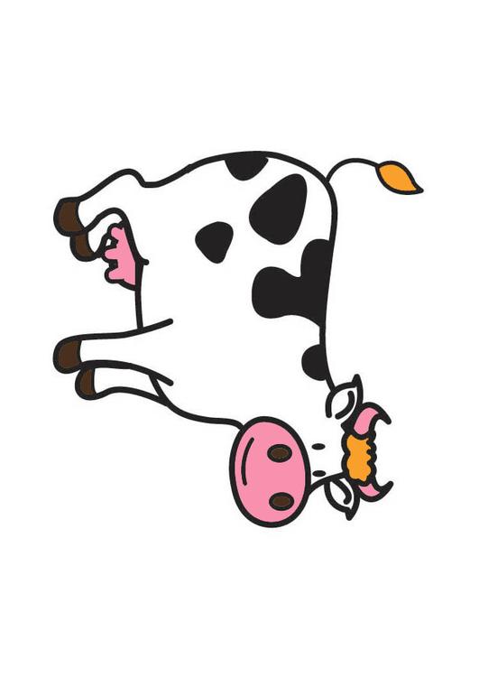 vaca