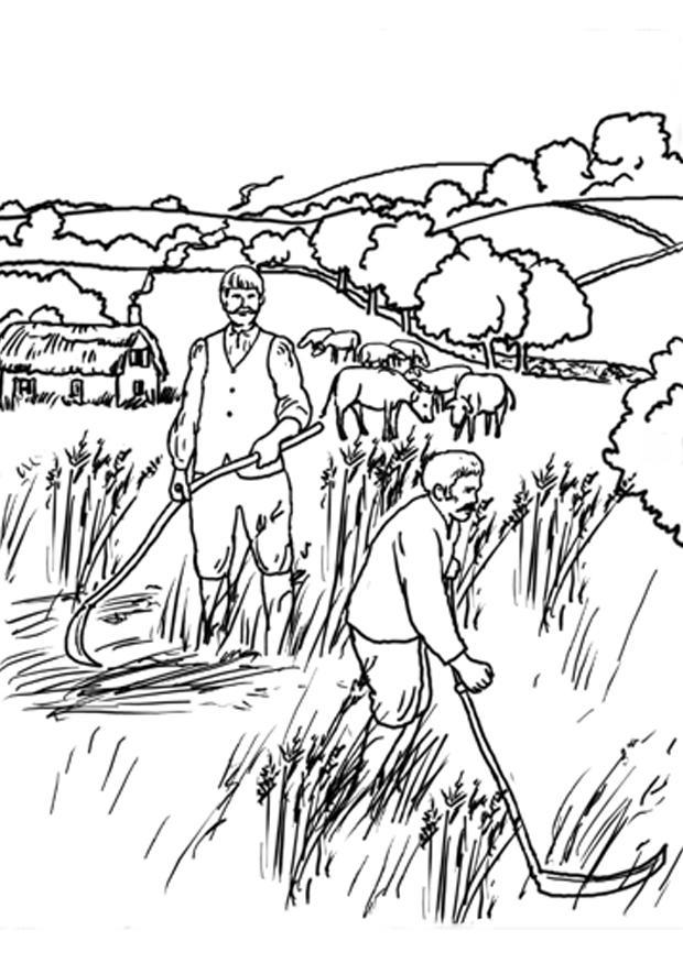 1c campesinos Dibujo para colorear 1c campesinos