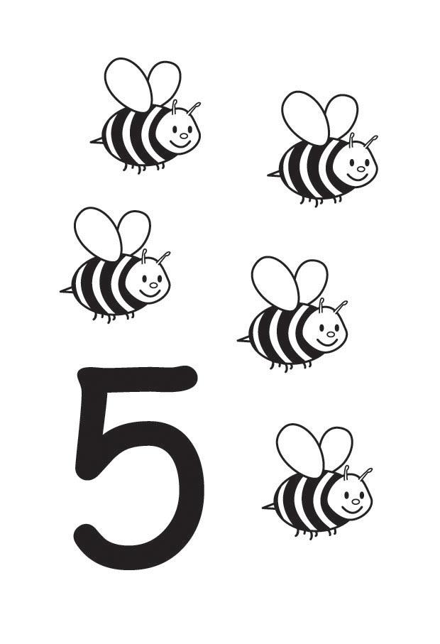 5 Dibujo para colorear 5