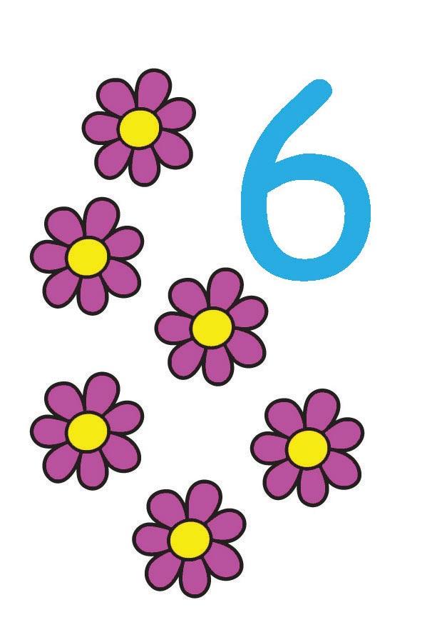 6 Imagen 6
