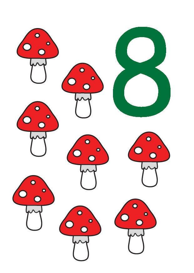 8 Imagen 8