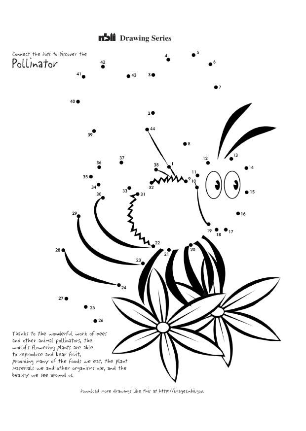abeja Dibujo para colorear abeja