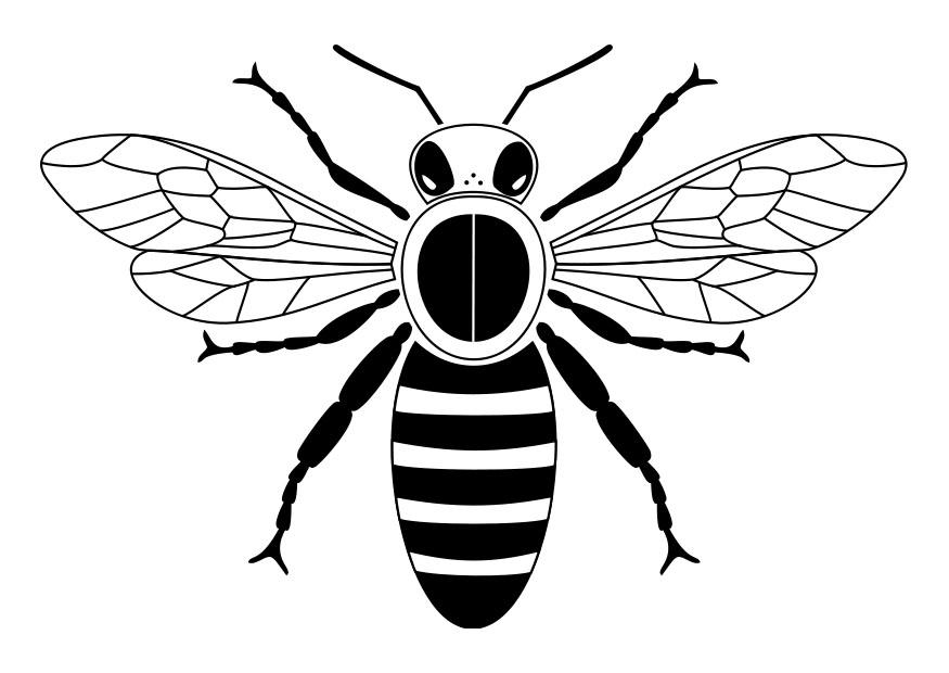 abeja Dibujo para colorear abeja
