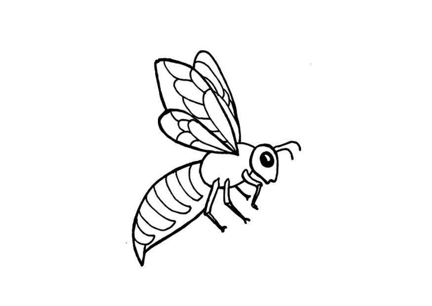 abeja Dibujo para colorear abeja