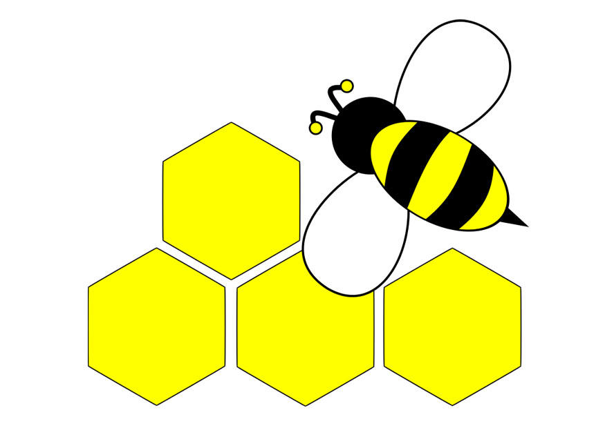 Imagen abeja - parte postrior