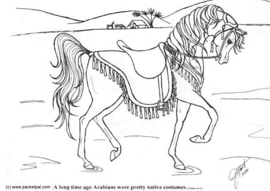 adiestramiento Dibujo para colorear adiestramiento