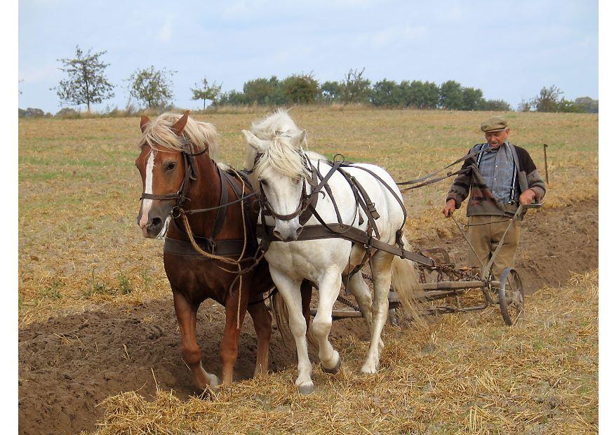 agricultor Foto agricultor