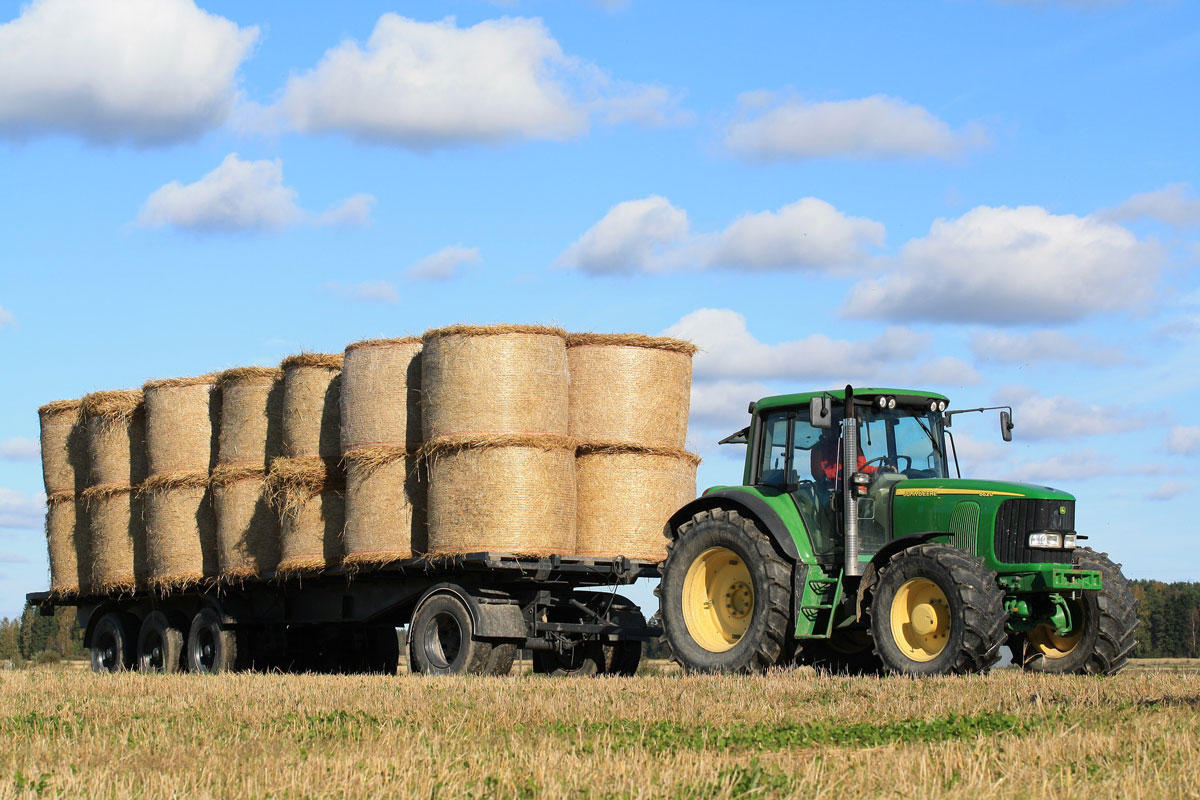 agricultura Foto agricultura