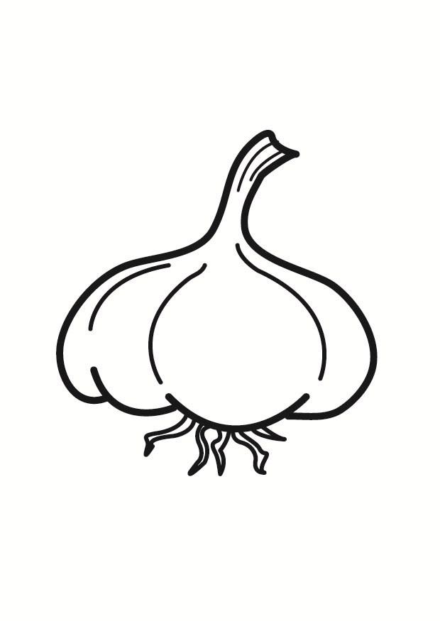 ajo Dibujo para colorear ajo