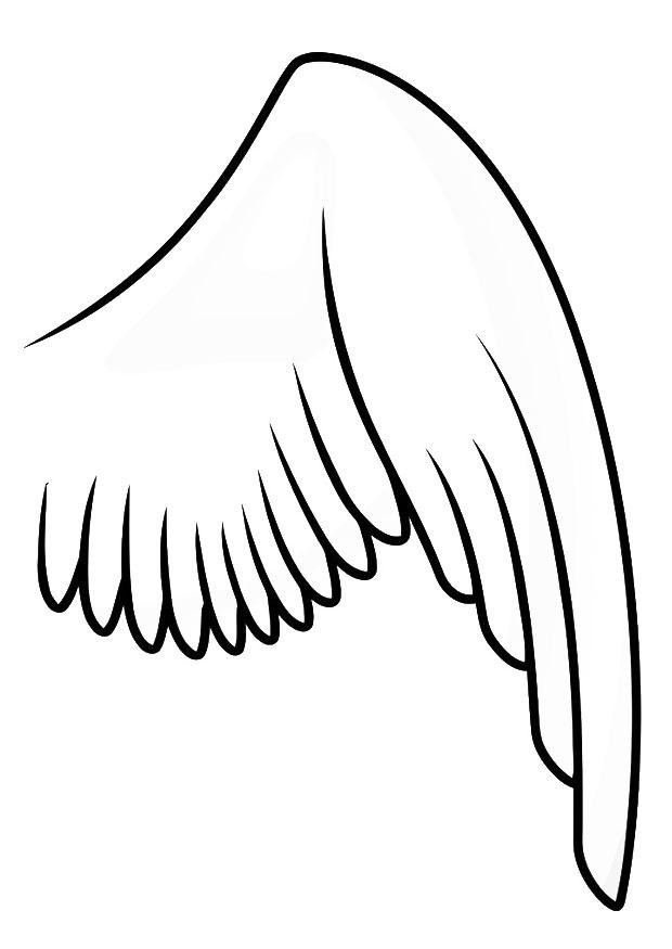 ala derecha Dibujo para colorear ala derecha