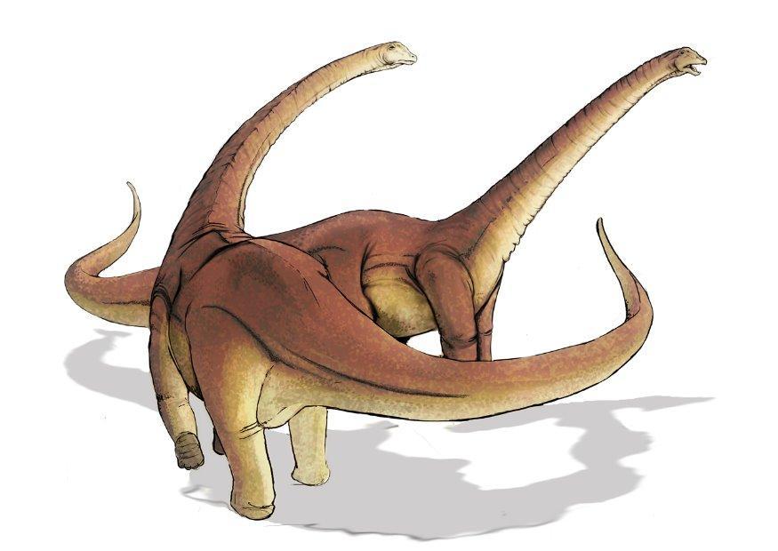 alamosaurus Imagen alamosaurus
