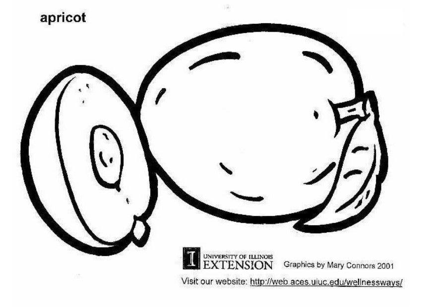 albaricoque Dibujo para colorear albaricoque