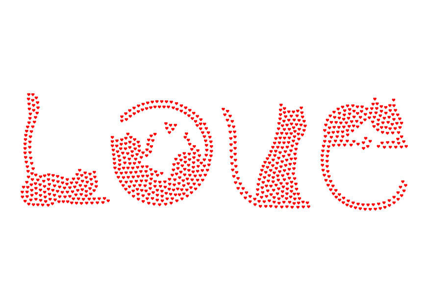 amor - gatos Imagen amor - gatos