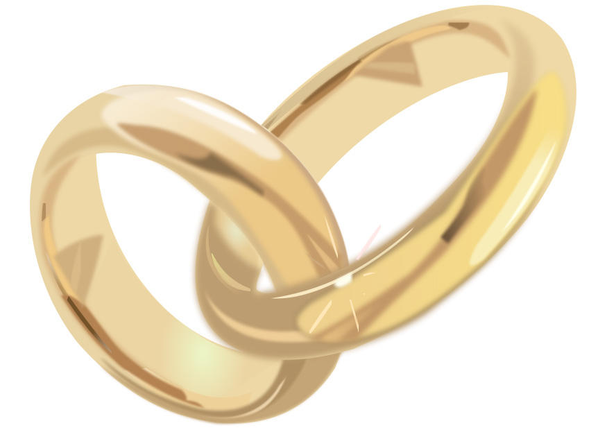 anillos de boda Imagen anillos de boda
