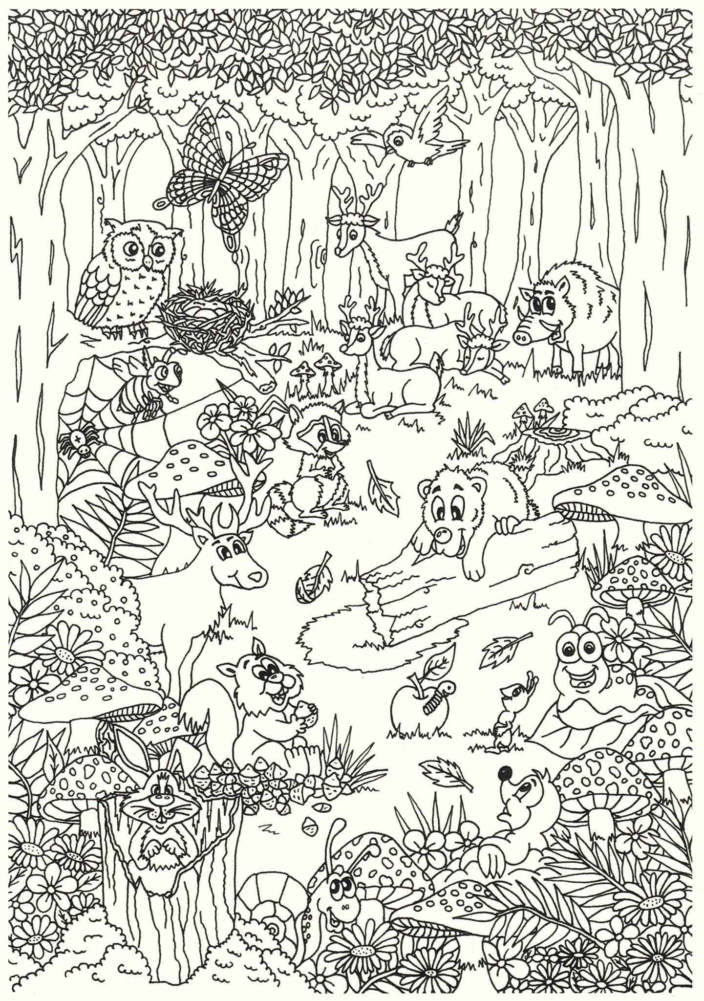 animales en el bosque Dibujo para colorear animales en el bosque