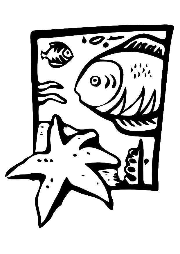 animales marinos Dibujo para colorear animales marinos