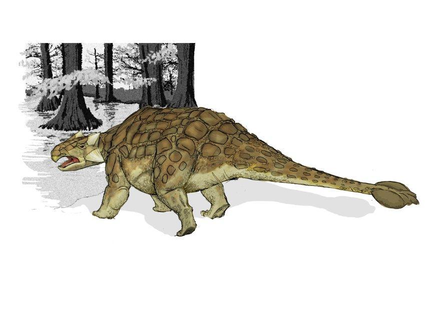 ankylosaurus Imagen ankylosaurus