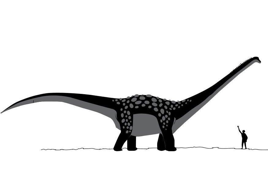 antarctosaurus Dibujo para colorear antarctosaurus