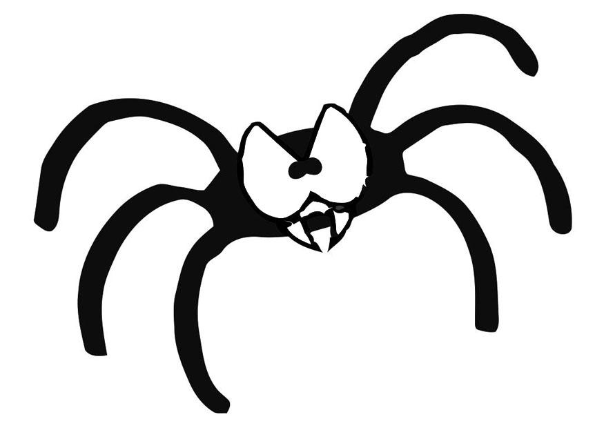 arana Dibujo para colorear arana