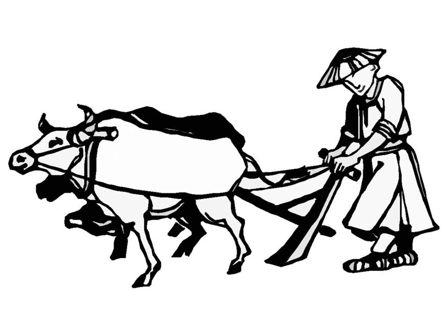 arar Dibujo para colorear arar