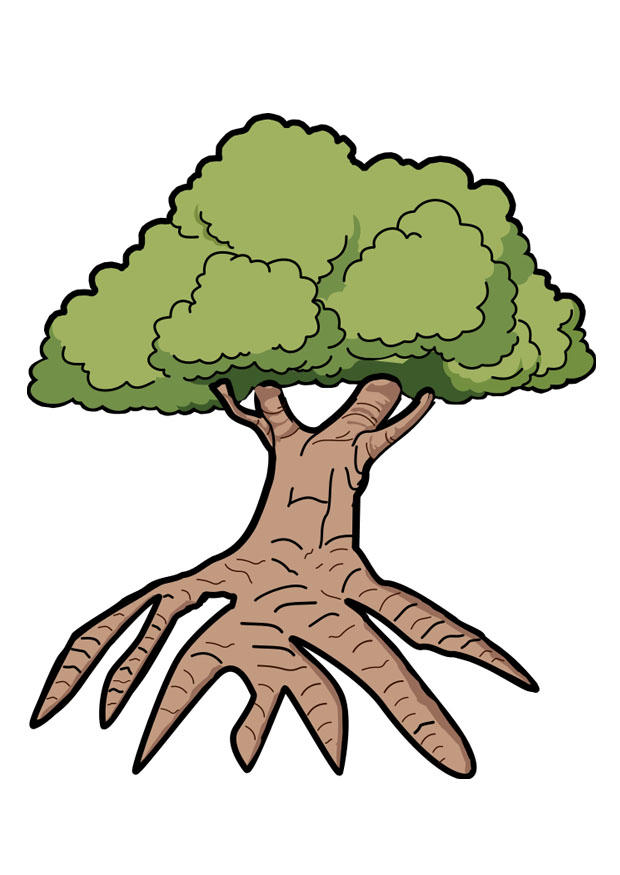 A¡rbol Imagen A¡rbol
