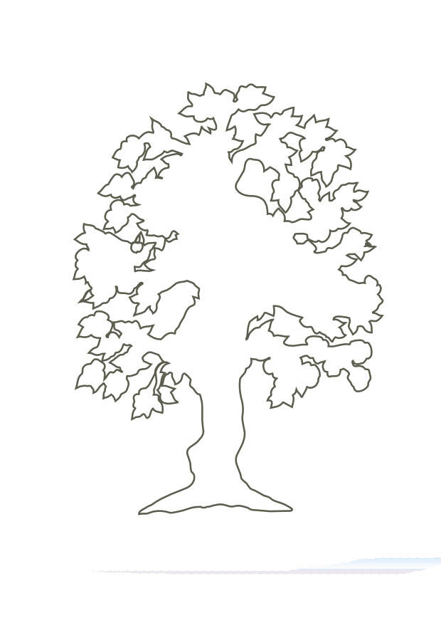 Dibujo para colorear Arbol