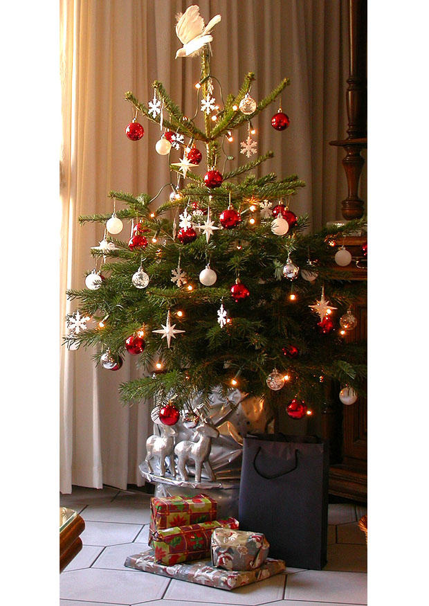 A¡rbol de navidad Foto A¡rbol de navidad