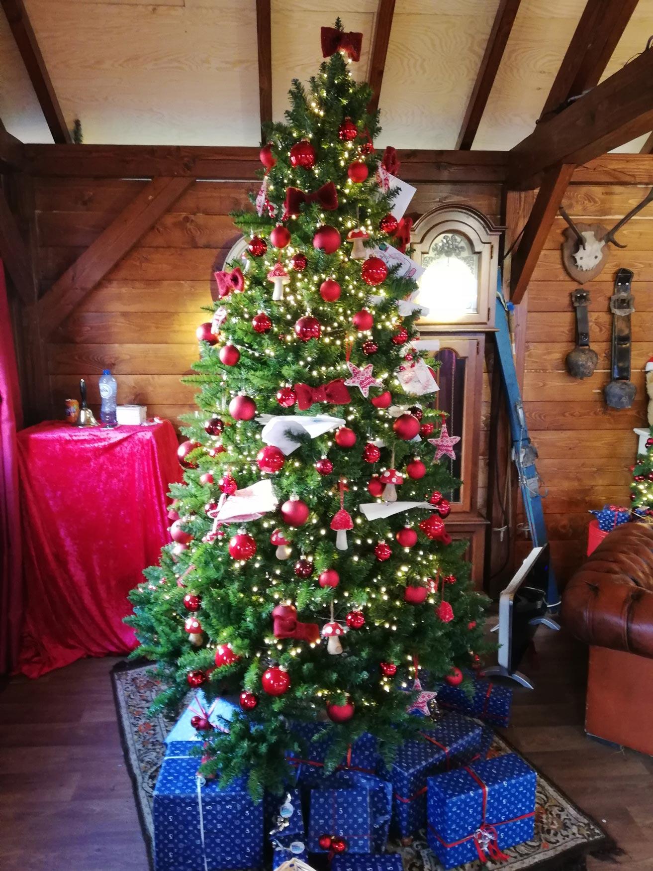 arbol de navidad Foto arbol de navidad
