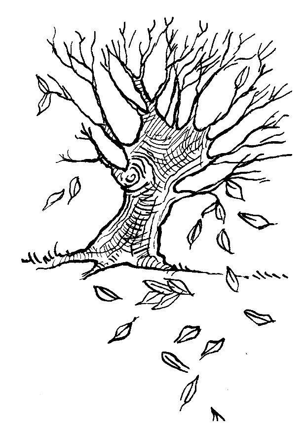 Arbol en otono Dibujo para colorear Arbol en otono