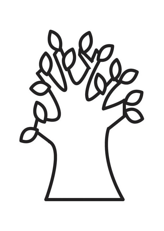 A¡rbol en primavera Dibujo para colorear A¡rbol en primavera